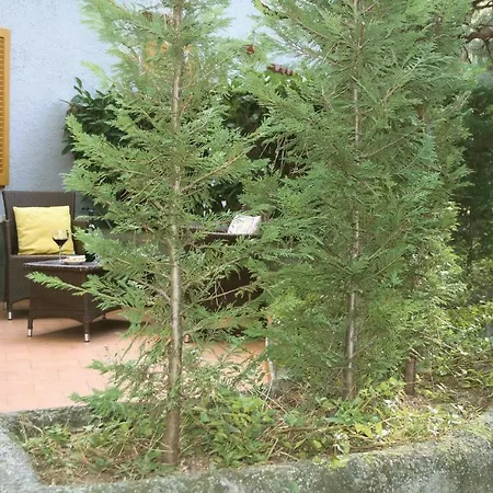 Apt. Standard 4+2 Appartement *